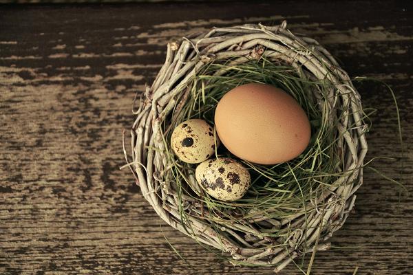 Fake News In Germany